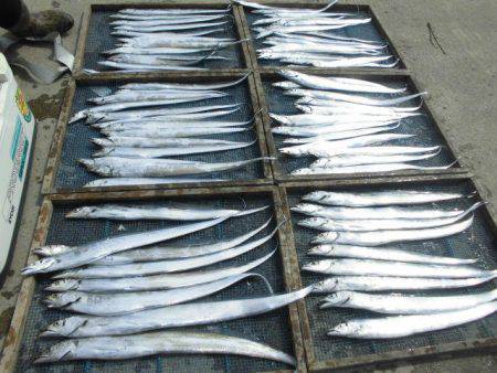 大進丸（愛知） 釣果