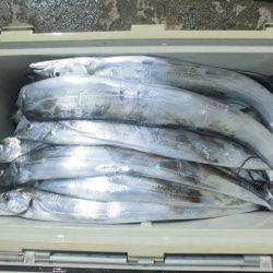 大進丸（愛知） 釣果