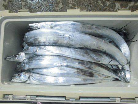 大進丸（愛知） 釣果