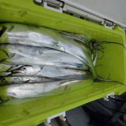 大進丸(愛知) 釣果