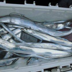 大進丸(愛知) 釣果