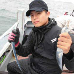 大進丸(愛知) 釣果