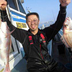 大進丸（愛知） 釣果