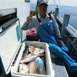 大進丸（愛知） 釣果