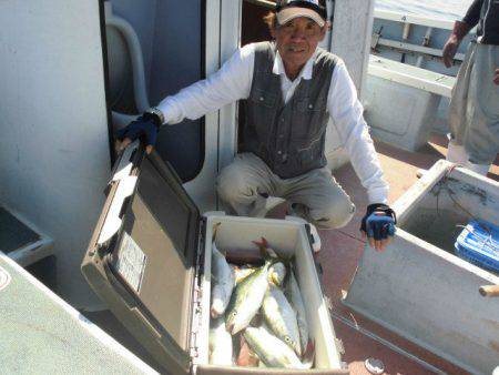 大進丸（愛知） 釣果