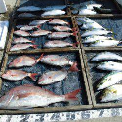 大進丸（愛知） 釣果