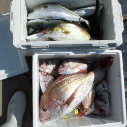 大進丸（愛知） 釣果