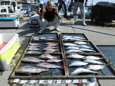 大進丸（愛知） 釣果