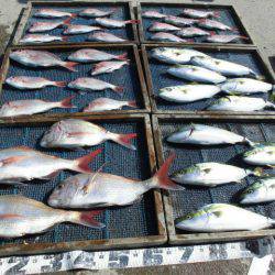 大進丸（愛知） 釣果