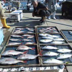 大進丸（愛知） 釣果
