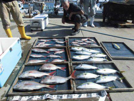 大進丸（愛知） 釣果