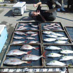 大進丸（愛知） 釣果