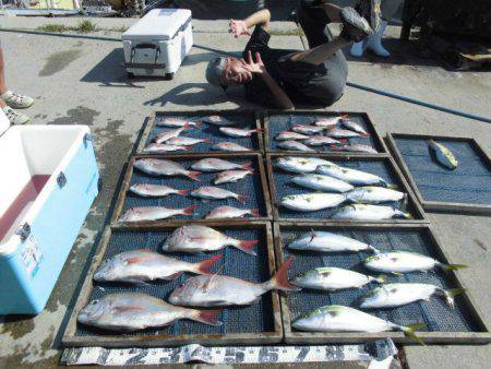 大進丸（愛知） 釣果