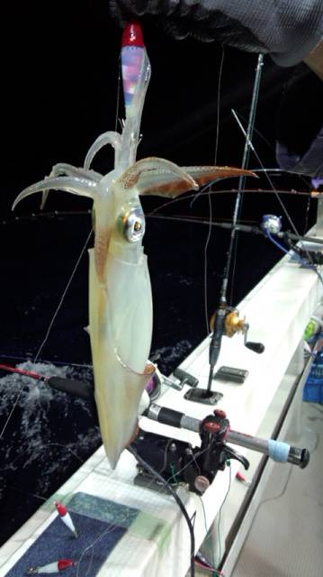 泰丸 釣果