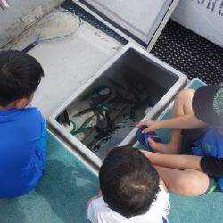 群星・むるぶし 釣果