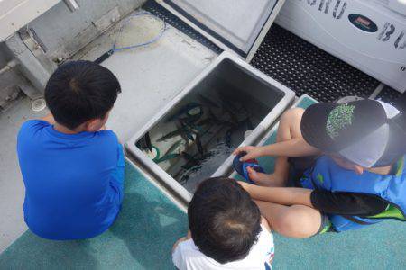 群星・むるぶし 釣果