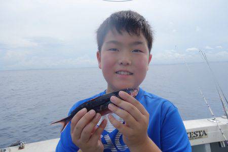 群星・むるぶし 釣果