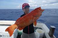 群星・むるぶし 釣果