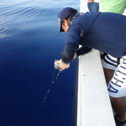 群星・むるぶし 釣果