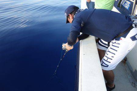 群星・むるぶし 釣果
