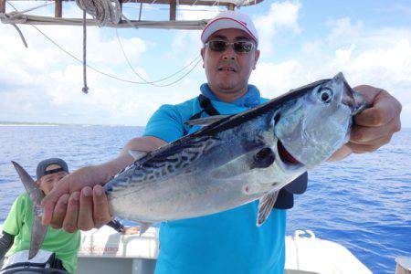 群星・むるぶし 釣果