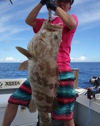 群星・むるぶし 釣果