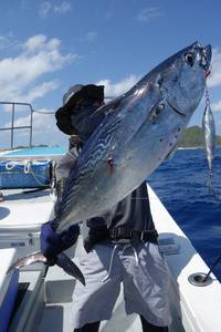 群星・むるぶし 釣果