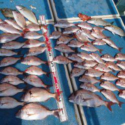 十八宝洋丸 釣果