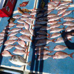 十八宝洋丸 釣果