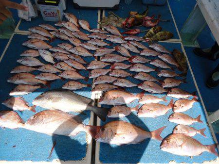 十八宝洋丸 釣果