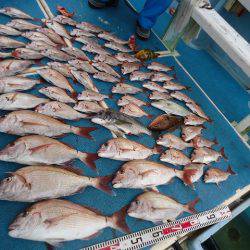 十八宝洋丸 釣果