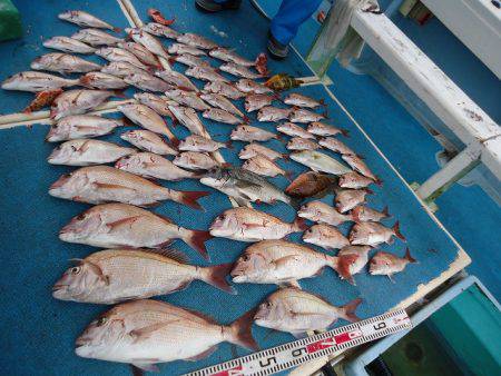 十八宝洋丸 釣果