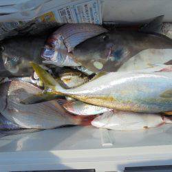 ＨＡＲＵＫＡ丸　はるかまる 釣果