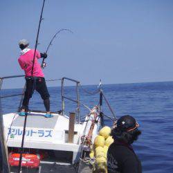 ALCATRAZ 釣果