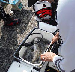 バラモン1号 釣果