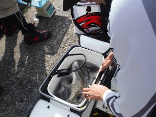 バラモン1号 釣果