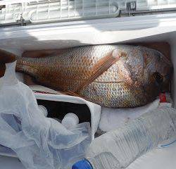 バラモン1号 釣果