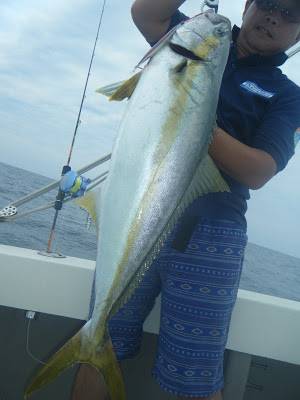 凪紗丸 釣果