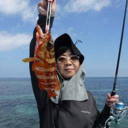 ローカルフィッシング 西表 マリンボックス 釣果