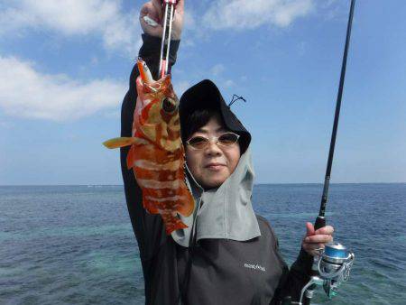 ローカルフィッシング 西表 マリンボックス 釣果