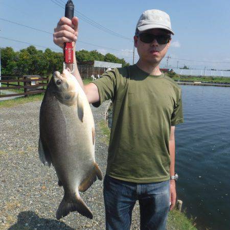 浜名湖フィッシングリゾート 釣果