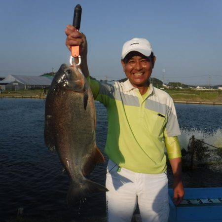 浜名湖フィッシングリゾート 釣果