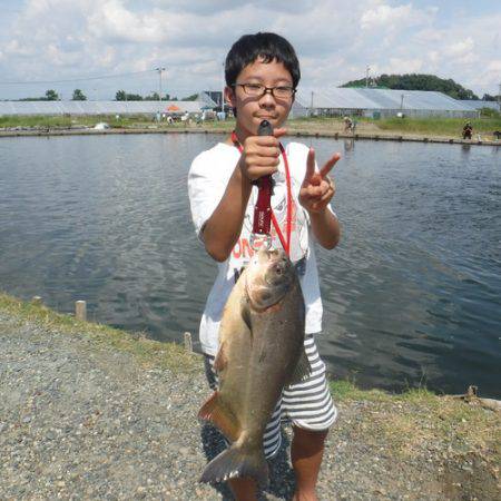 浜名湖フィッシングリゾート 釣果