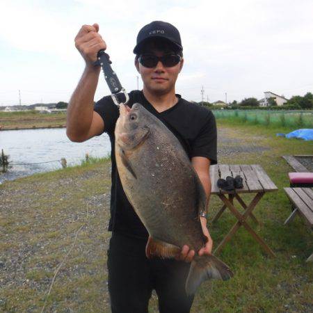 浜名湖フィッシングリゾート 釣果