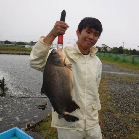 浜名湖フィッシングリゾート 釣果