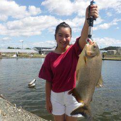 浜名湖フィッシングリゾート 釣果