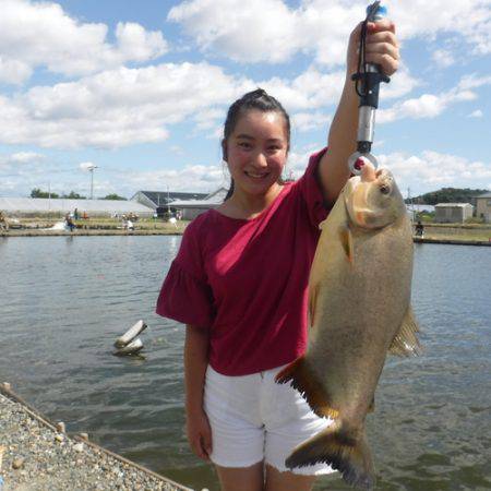 浜名湖フィッシングリゾート 釣果