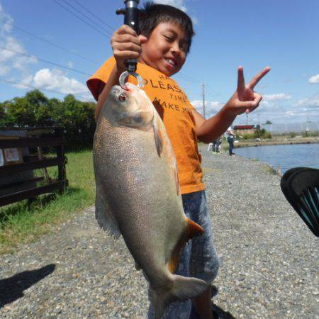 浜名湖フィッシングリゾート 釣果