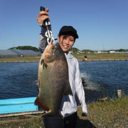 浜名湖フィッシングリゾート 釣果
