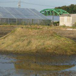 浜名湖フィッシングリゾート 釣果